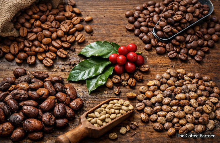 Tipos de Granos de Café: Lo que las Marcas de Café Deben Conocer
